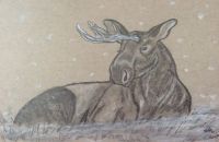 Moosicorn